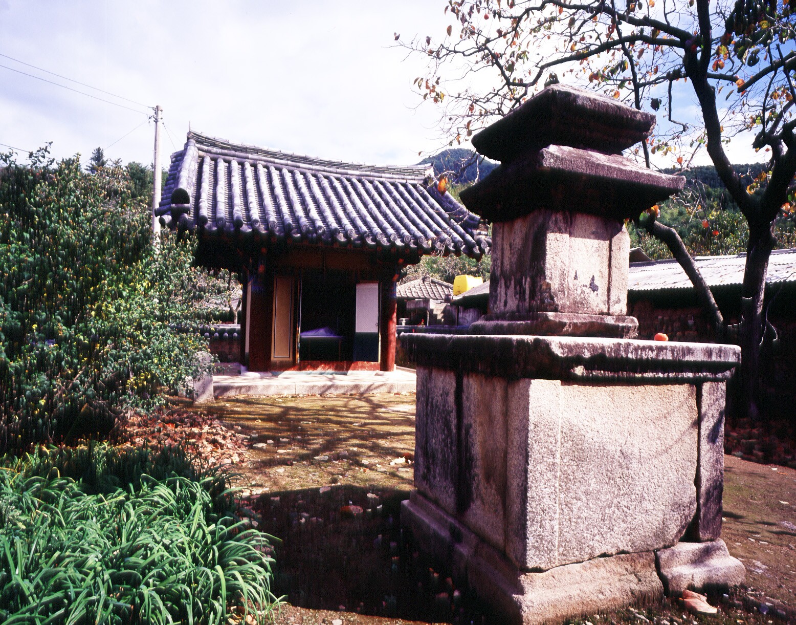 청도 박곡리 석조여래좌상_1