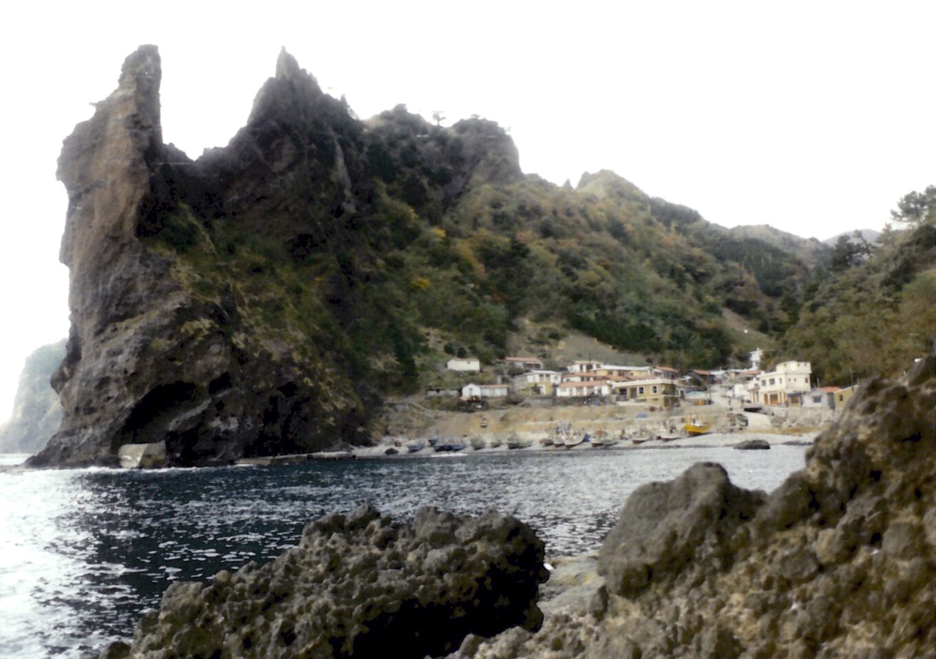 울릉 통구미 향나무 자생지_1