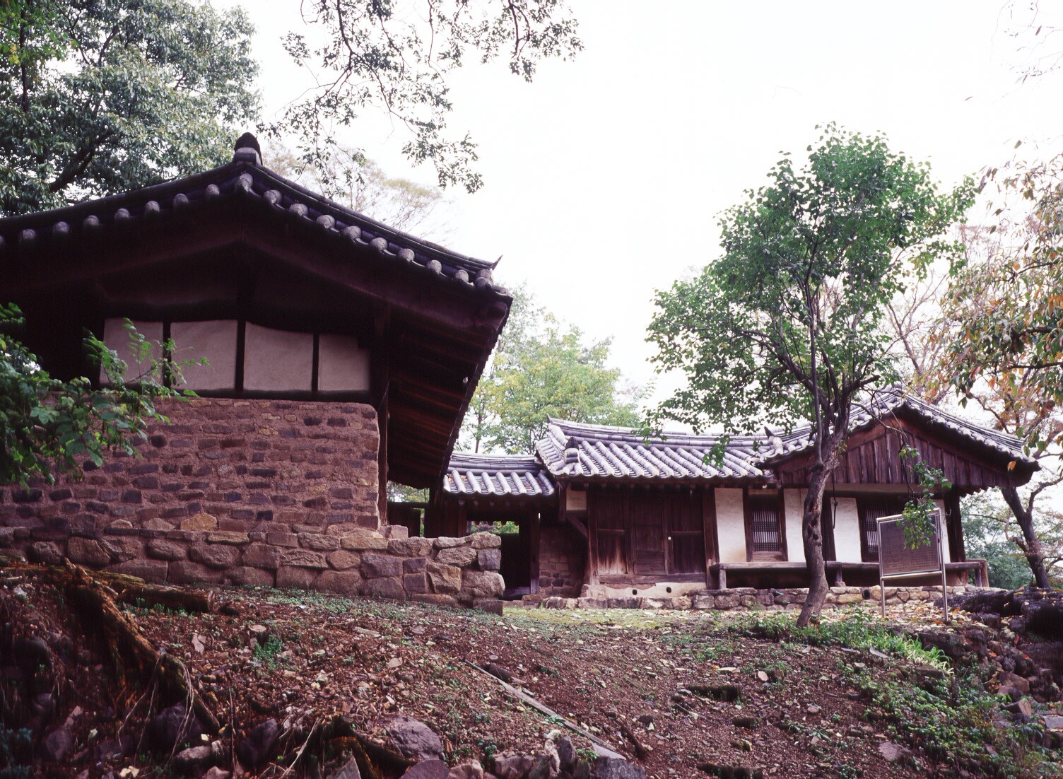 양계정사_1