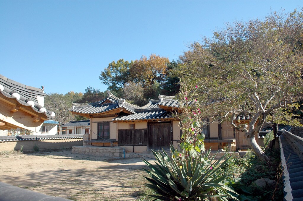 영덕 괴시동 대남댁_1