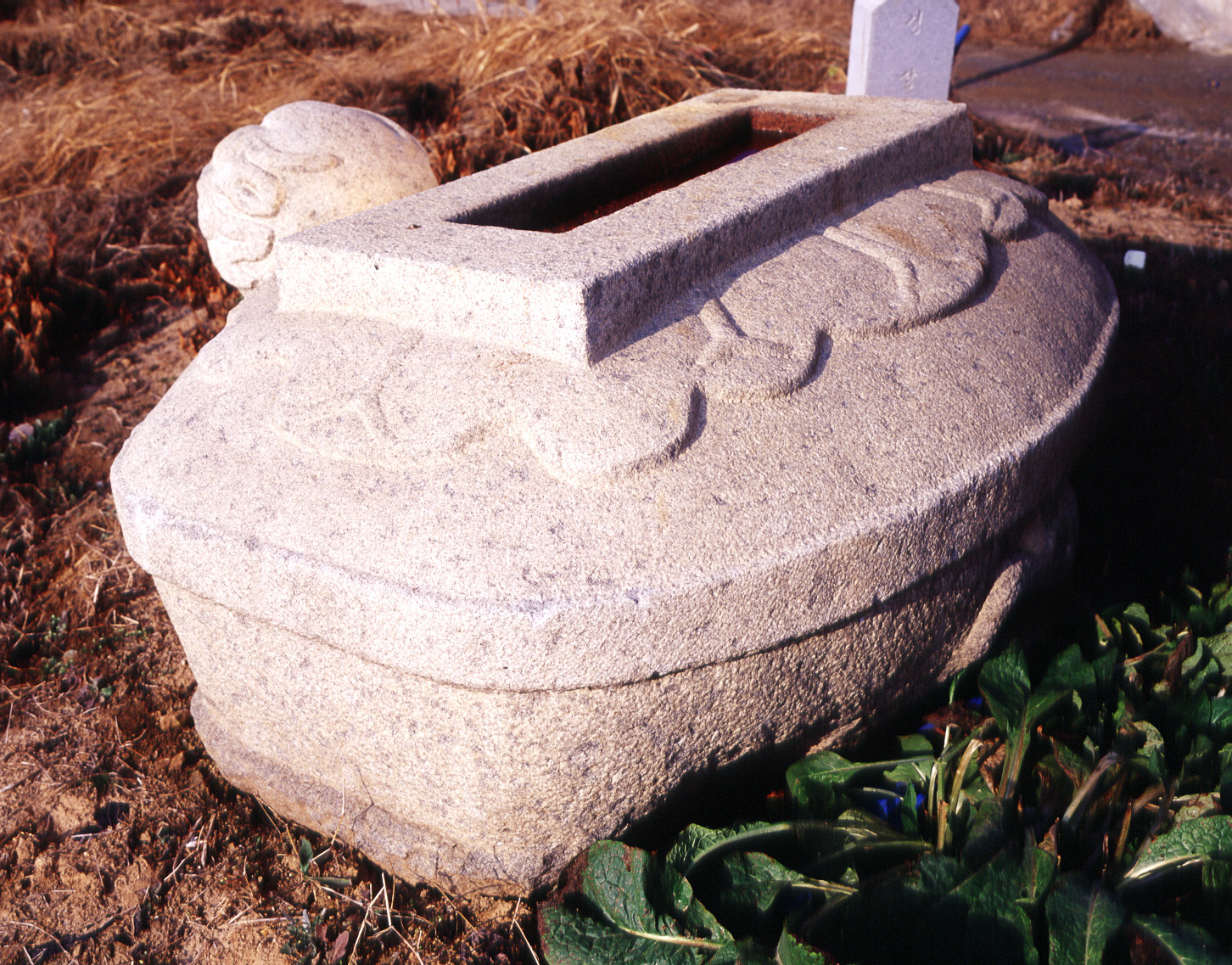 상주 무양동 석조귀부_1