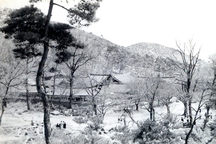 영천 거조사 영산전_2