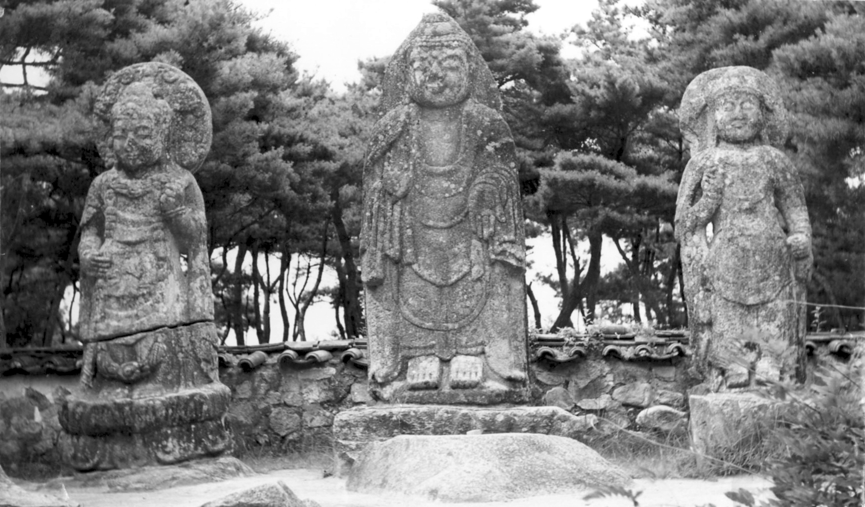 경주 배동 석조여래삼존입상_3