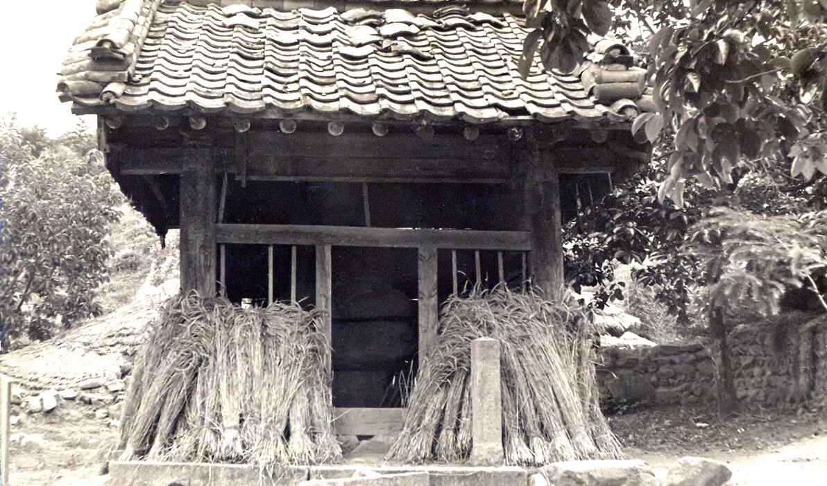 청도 박곡리 석조여래좌상_12