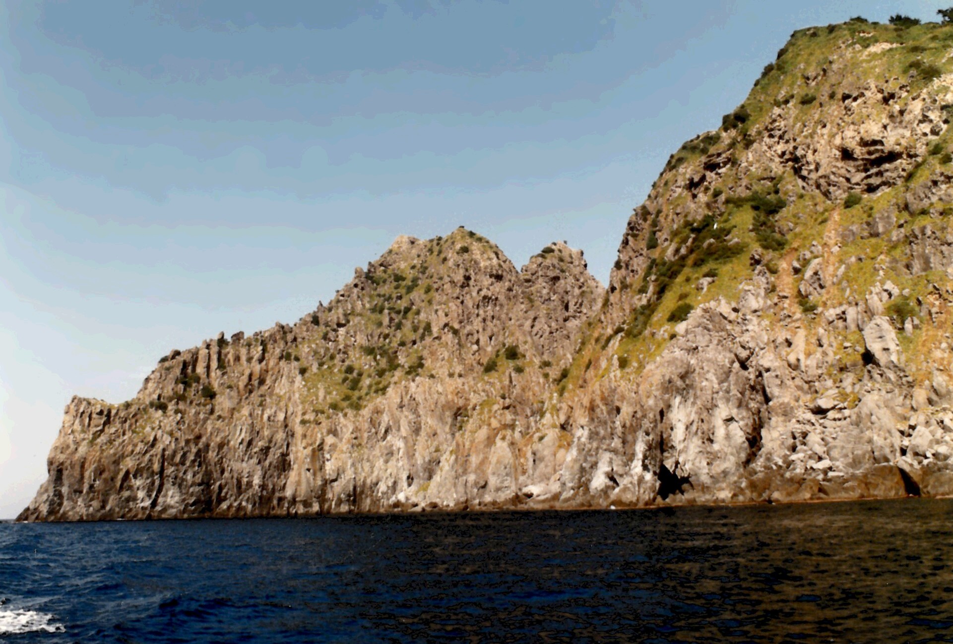울릉 대풍감 향나무 자생지_1