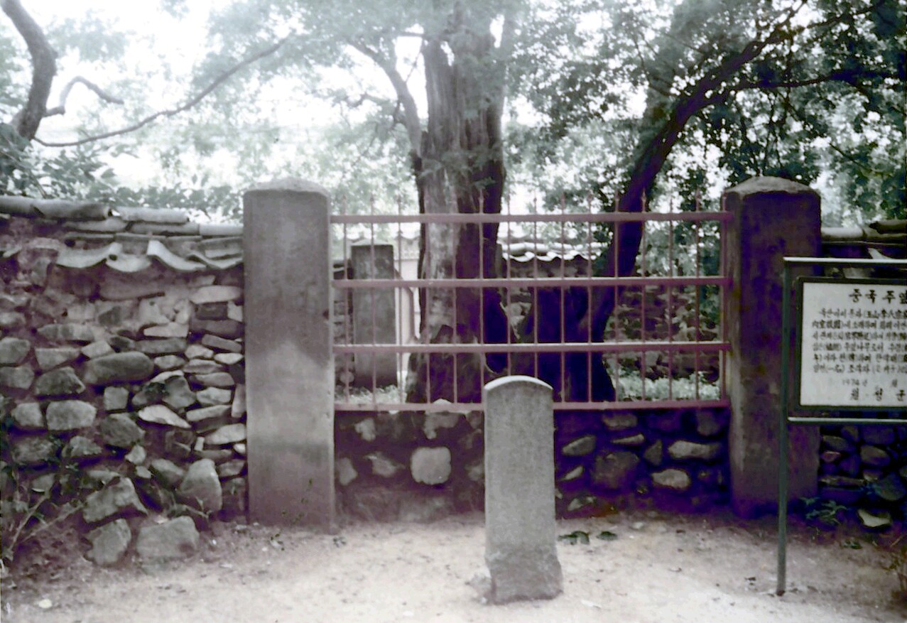 경주 독락당 조각자나무_1