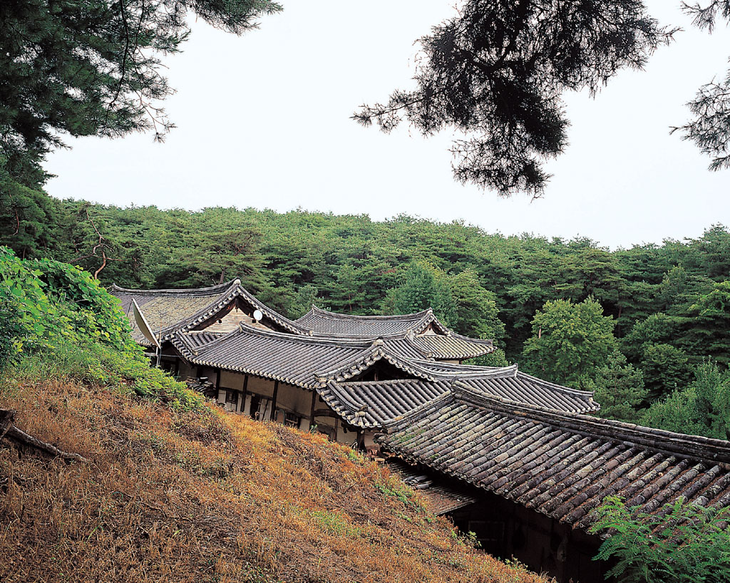 안동김씨 태장재사_1