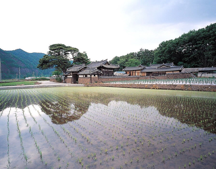 학초정 및 정침_1