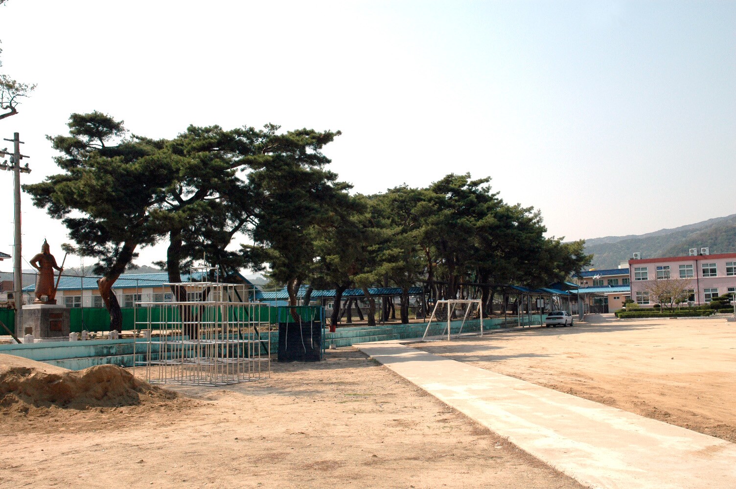 예천 금당실 송림_1