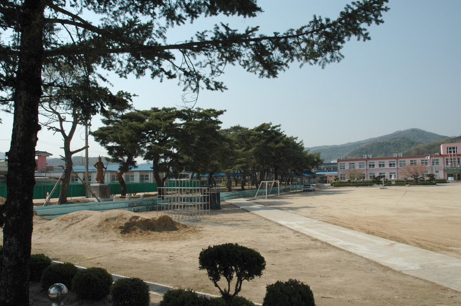 예천 금당실 송림_3