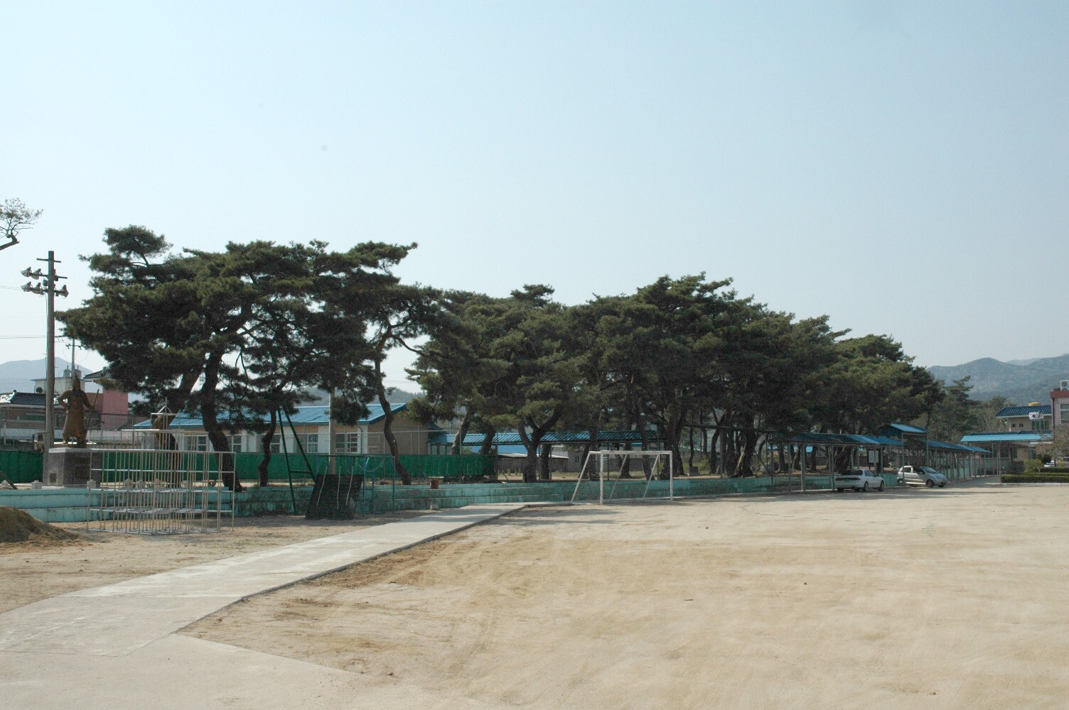 예천 금당실 송림_5