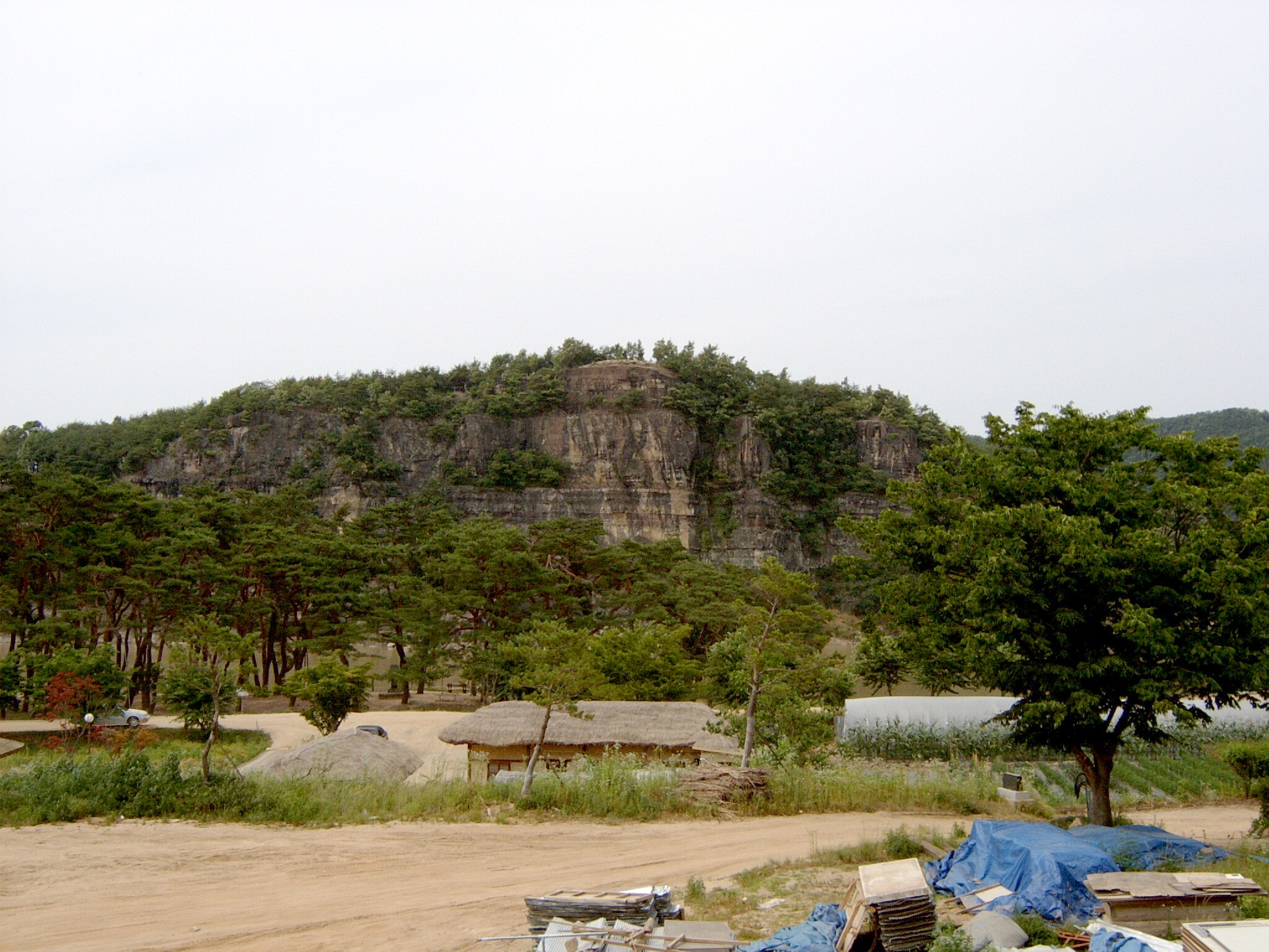 안동 하회마을 만송정 숲_3