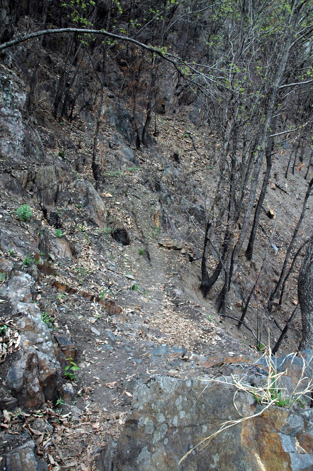 문경 토끼비리_5